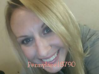 Pennylane18790