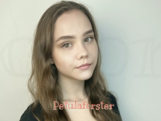 Petulaforster