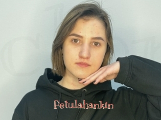 Petulahankin