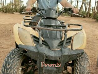 Pewnis