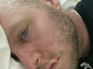 Pgmate