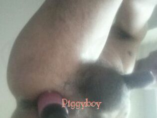Piggyboy
