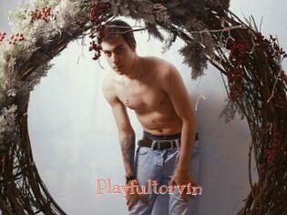 Playfultorvin