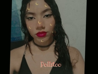 Pollitoo