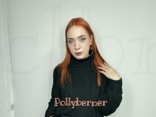 Pollyberner