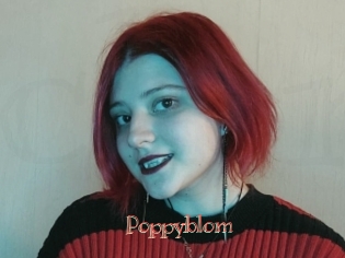 Poppyblom