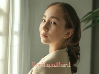 Portiagaillard
