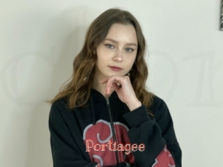 Portiagee