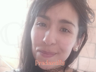 Pradamills