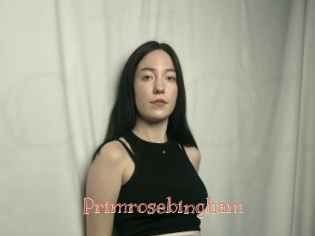 Primrosebingham