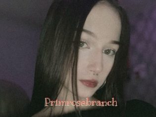 Primrosebranch