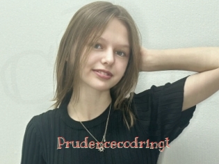 Prudencecodringt