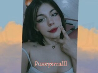 Pussysmalll