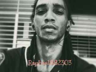 Raphael882303