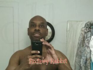 Rodney_Rabbit