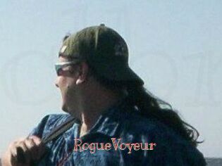 RogueVoyeur
