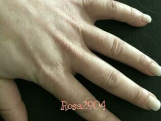 Rosa2904