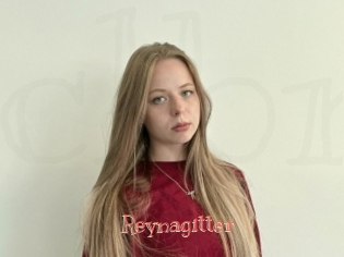 Reynagitter