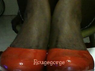 Rougegorge