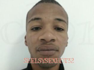 SHELSYSEXHOT32