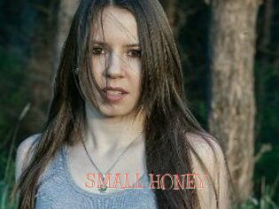 SMALL_HONEY