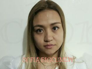 SOFIA_BIGCUMLW