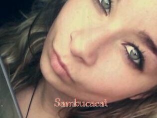 Sambucacat