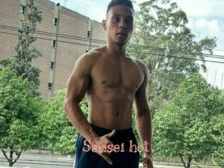 Sensei_hot