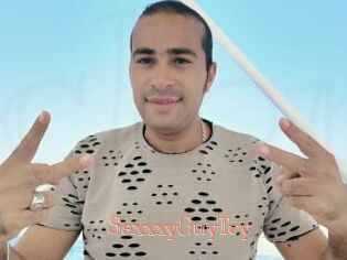 SexxxyGuyToy