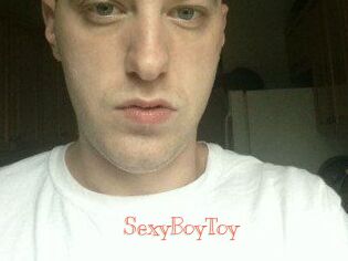 SexyBoyToy