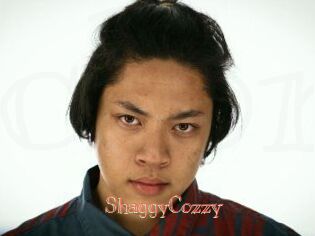 ShaggyCozzy