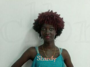 Shandy