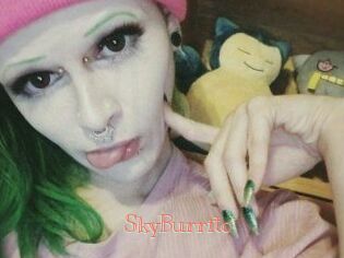 SkyBurrito