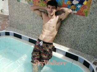SkyWalkerr