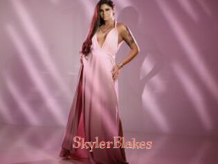 SkylerBlakes