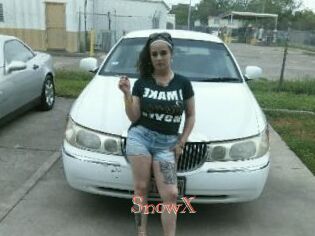 SnowX