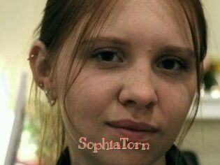 SophiaTorn