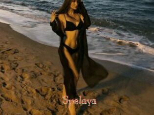 Spelaya