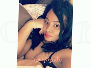 SpicySpade