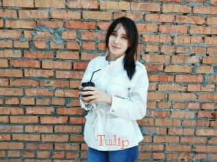 Tulip