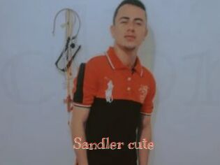 Sandler_cute