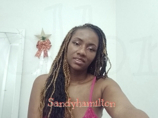 sandyhamilton Celebrix