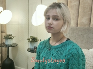 Sandyshayes