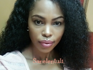 Sanelentuli