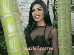 Scarlettrossee