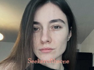 Seekeroftheone