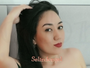 Selindongel