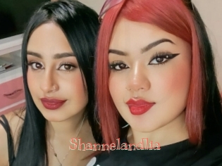 Shannelandlia