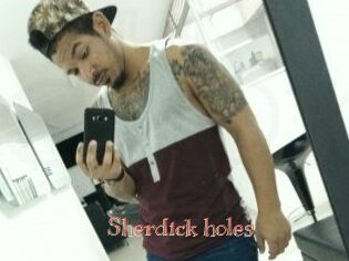 Sherdick_holes