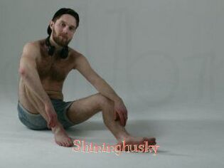 Shininghusky